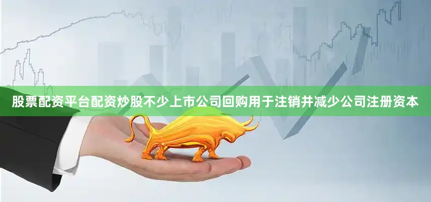 股票配资平台配资炒股不少上市公司回购用于注销并减少公司注册资本