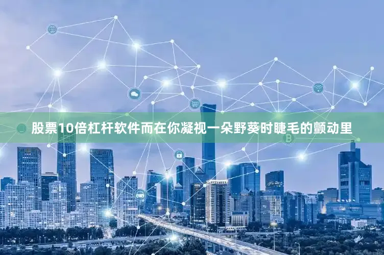 股票10倍杠杆软件而在你凝视一朵野葵时睫毛的颤动里